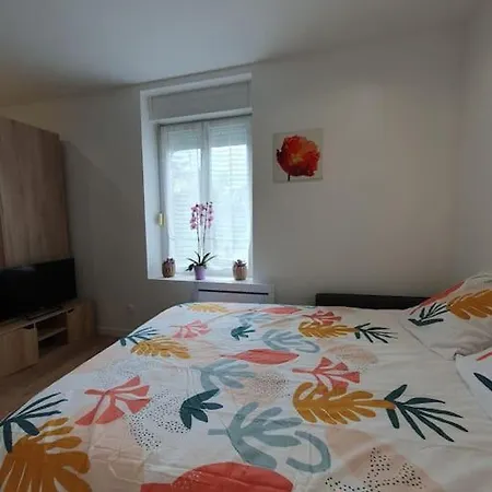 Studio Coquelicot Appartement Nancy