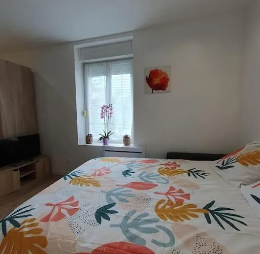 Studio Coquelicot Appartement Nancy