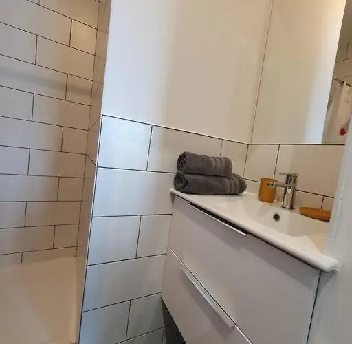 Studio Coquelicot Appartement Nancy